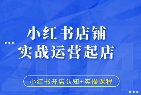 小红书店铺实战运营起店，小红书开店认知+实操课程-大齐资源站