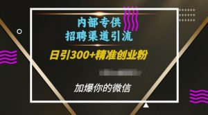 内部招聘渠道日引流300+创业粉,加爆你的微信【揭秘】-大齐资源站