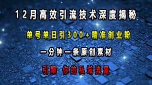 最新高效引流技术深度揭秘 ，单号单日引300+精准创业粉，一分钟一条原创素材，引爆你的私域流量-大齐资源站