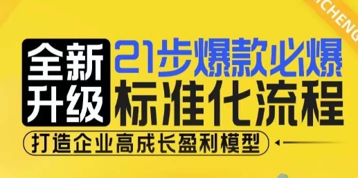 21步爆款必爆标准化流程，全新升级，打造企业高成长盈利模型-大齐资源站