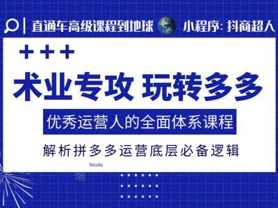 术业专攻玩转多多，优秀运营人的全面体系课程，解析拼多多运营底层必备逻辑-大齐资源站