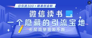 微信读书，一个隐藏的引流宝地，不为人知的小众打法，日引流300+精准创业粉，长尾流量源源不断-大齐资源站
