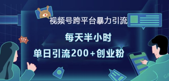 视频号跨平台暴力引流，每天半小时，单日引流200+精准创业粉-大齐资源站