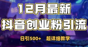 最新公开:12月份抖音日引500+创业粉秘籍-大齐资源站