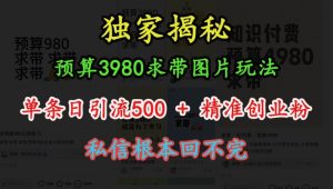 预算3980求带 图片玩法,单条日引流500+精准创业粉,私信根本回不完-大齐资源站