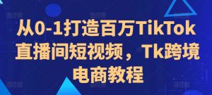 从0-1打造百万TikTok直播间短视频，Tk跨境电商教程-大齐资源站