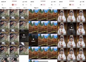 狗熊岭快手连怼技术，好物，涨粉都可以连怼-大齐资源站