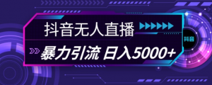 抖音快手视频号全平台通用无人直播引流法,利用图片模板和语音话术,暴力日引流100+创业粉【揭秘】-大齐资源站
