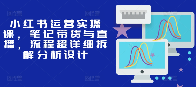小红书运营实操课，笔记带货与直播，流程超详细拆解分析设计-大齐资源站