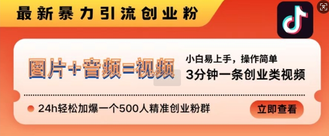 抖音最新暴力引流创业粉，3分钟一条创业类视频，24h轻松加爆一个500人精准创业粉群【揭秘】-大齐资源站