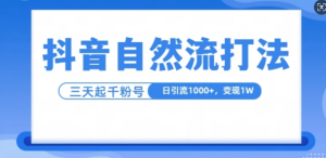 抖音自热流打法，单视频十万播放量，日引1000+，3变现1w-大齐资源站