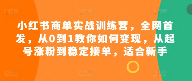 小红书商单实战训练营，全网首发，从0到1教你如何变现，从起号涨粉到稳定接单，适合新手-大齐资源站