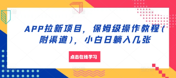 APP拉新项目，保姆级操作教程(附渠道)，小白日躺入几张【揭秘】-大齐资源站