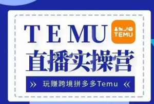 Temu直播实战营,玩赚跨境拼多多Temu,国内电商卷就出海赚美金-大齐资源站