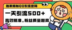 独家解密QQ里的引流密码，高效精准，实测单日加100+创业粉【揭秘】-大齐资源站