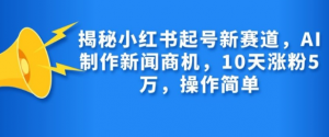 揭秘小红书起号新赛道，AI制作新闻商机，10天涨粉1万，操作简单-大齐资源站