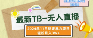 【最新TB-无人直播】11月最新，打造你的日不落直播间，轻松月入过W【揭秘】-大齐资源站