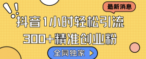 全网独家抖音引流，轻松日引300+精准创业粉【揭秘】-大齐资源站