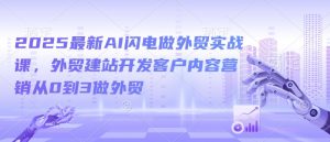 2025最新AI闪电做外贸实战课，外贸建站开发客户内容营销从0到3做外贸-大齐资源站