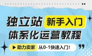 独立站新手入门体系化运营教程,助力独立站卖家从0-1快速入门!-大齐资源站