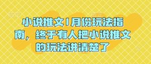 小说推文1月份玩法指南，终于有人把小说推文的玩法讲清楚了!-大齐资源站
