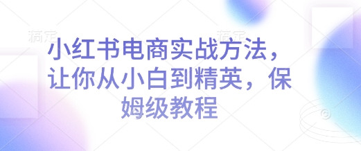 小红书电商实战方法，让你从小白到精英，保姆级教程-大齐资源站