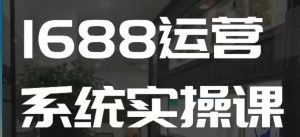 1688高阶运营系统实操课,快速掌握1688店铺运营的核心玩法-大齐资源站