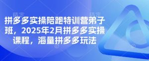 拼多多实操陪跑特训营弟子班，2025年2月拼多多实操课程，海量拼多多玩法-大齐资源站