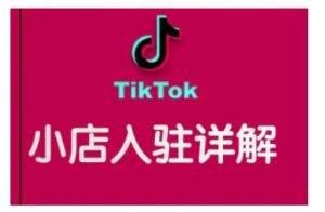 TikTok跨境小店运营全攻略，帮助你独立运营TK跨境小店的能力，实现销量增长-大齐资源站
