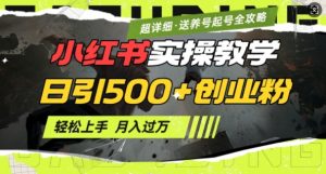 2月小红书最新日引500+创业粉实操教学【超详细】小白轻松上手，月入1W+，附小红书养号起号SOP-大齐资源站