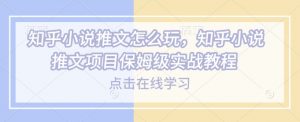 知乎小说推文怎么玩，知乎小说推文项目保姆级实战教程-大齐资源站