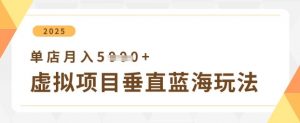 虚拟项目垂直玩法，实现单店月入5k+-大齐资源站