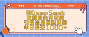 用DeepSeek做哪吒走秀视频,引爆流量涨粉利器,单日变现1k-大齐资源站