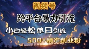 跨平台暴力引流,私域完美闭环,日引500+精准创业粉-大齐资源站