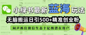 小绿书无脑搬运引流，全自动日引500精准创业粉，微信生态内又一个闷声发财的机会-大齐资源站