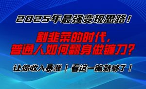 2025年最强变现思路,割韭菜的时代, 普通人如何翻身做镰刀?【揭秘】-大齐资源站