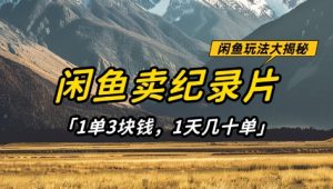 闲鱼卖纪录片1单3块钱，1天几十单，项目稳定有潜力-大齐资源站