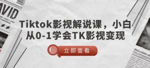 TikTok影视解说课，小白从0-1学会TK影视变现-大齐资源站