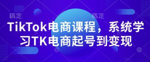TikTok电商课程,系统学习TK电商起号到变现-大齐资源站