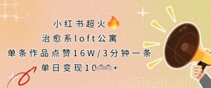 小红书超火的治愈系loft公寓，单条作品点赞16W，3分钟一条，单日变现数张-大齐资源站