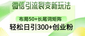 微信引流裂变新玩法:布局50+长尾词矩阵,轻松日引300+创业粉-大齐资源站
