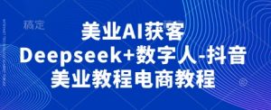 美业AI获客Deepseek+数字人-抖音美业教程电商教程-大齐资源站