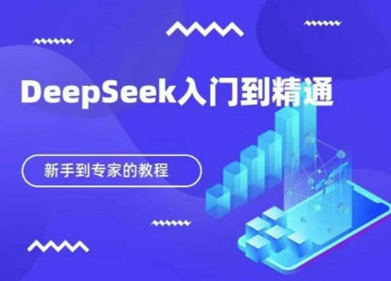 DeepSeek快速从入门到精通，新手的保姆级教程-大齐资源站