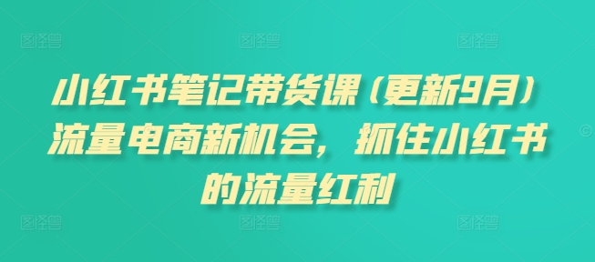 小红书笔记带货课(更新25年2月)流量电商新机会，抓住小红书的流量红利-大齐资源站