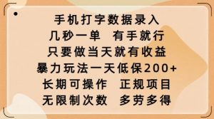 手机打字数据录入,几秒一单,有手就行,只要做当天就有收益,暴力玩法一天低保2张-大齐资源站