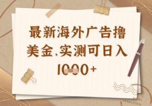 最新海外广告联盟挂机撸美金项目，实测可日入多张【揭秘】-大齐资源站