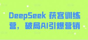 DeepSeek 获客训练营，破局AI引爆营销-大齐资源站