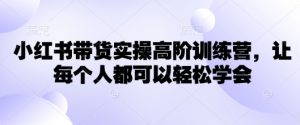 小红书带货实操高阶训练营，让每个人都可以轻松学会-大齐资源站