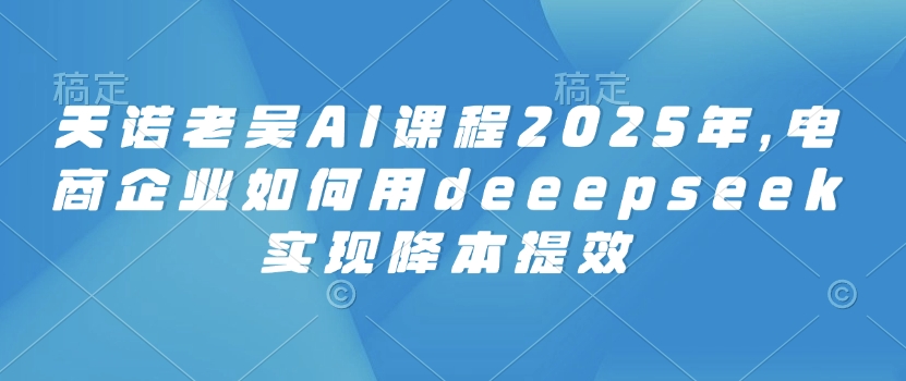 天诺老吴AI课程2025年，电商企业如何用deeepseek实现降本提效-大齐资源站