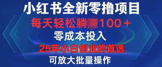 小红书全新纯零撸项目，只要有号就能玩，可放大批量操作，轻松日入100+【揭秘】-大齐资源站